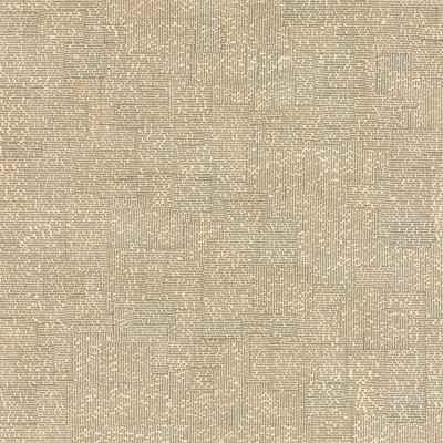 terra nova