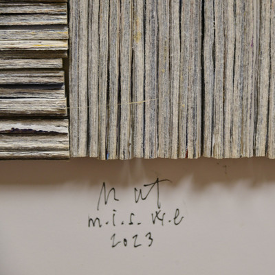 m.i.s.w.e.
