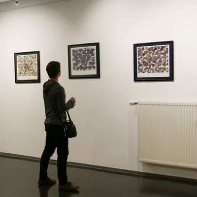 Exhibition Hibiscus <em>Photo: Blaz Svent</em>