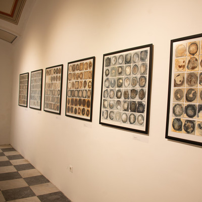 Exhibition Sine Sole Sileo