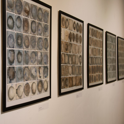 Exhibition Sine Sole Sileo