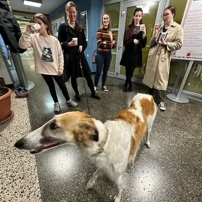 Ela, Tanja Marolt, Eva Stamboldžioski, Ana Jazbec <em>Photo: Marko Cafnik</em>